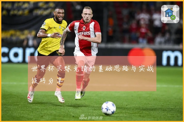 世界杯买球竞猜的基础思路与实战技巧分享
