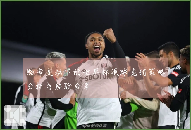 赔率变动下的世界杯滚球竞猜策略分析与经验分享