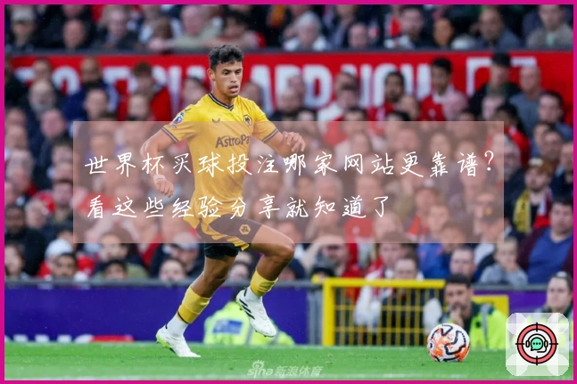 世界杯买球投注哪家网站更靠谱?看这些经验分享就知道了