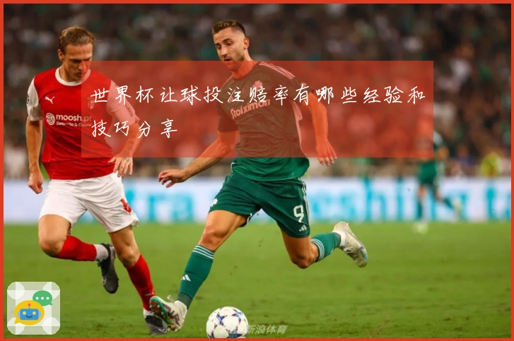 世界杯让球投注赔率有哪些经验和技巧分享