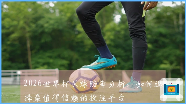 2026世界杯买球赔率分析，如何选择最值得信赖的投注平台