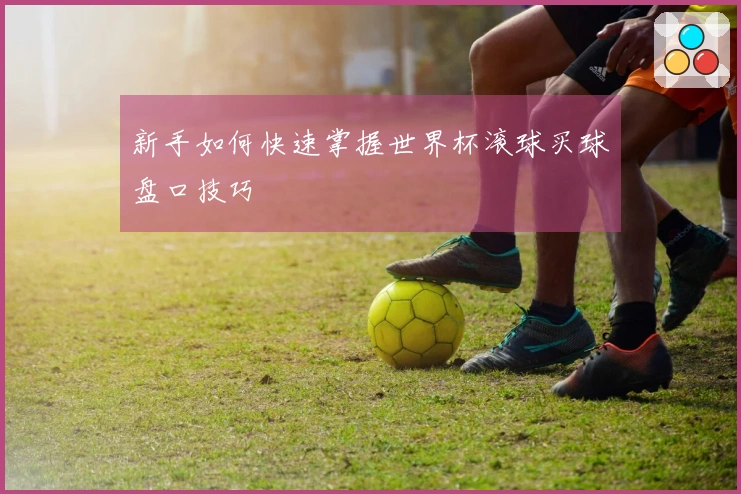 新手如何快速掌握世界杯滚球买球盘口技巧