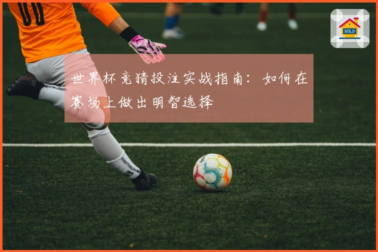 世界杯竞猜投注实战指南：如何在赛场上做出明智选择