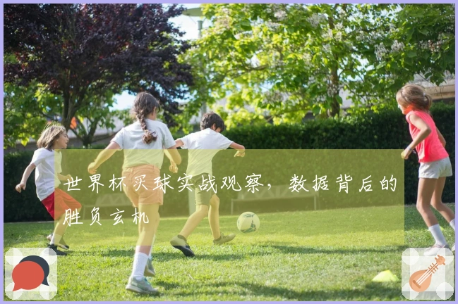 世界杯买球实战观察，数据背后的胜负玄机