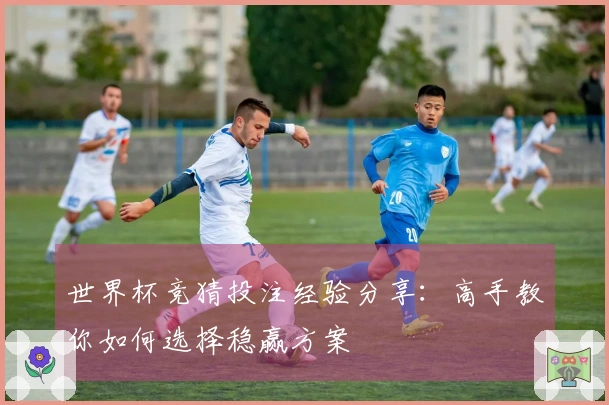 世界杯竞猜投注经验分享：高手教你如何选择稳赢方案