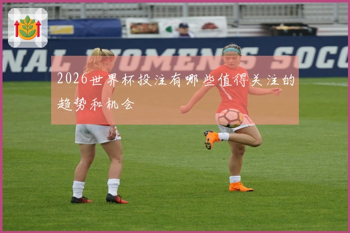 2026世界杯投注有哪些值得关注的趋势和机会