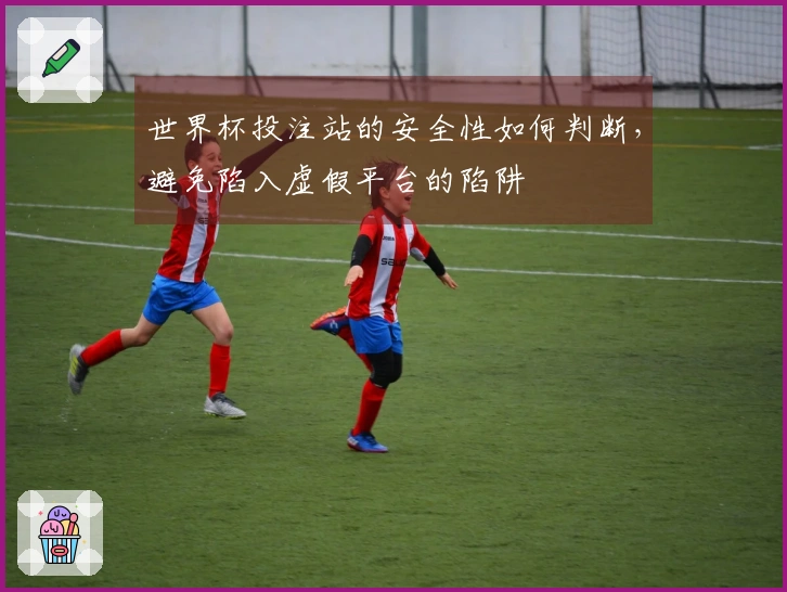 世界杯投注站的安全性如何判断，避免陷入虚假平台的陷阱