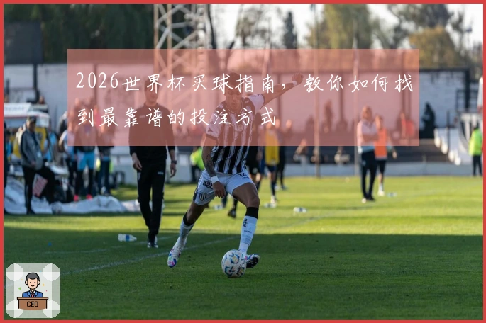 2026世界杯买球指南，教你如何找到最靠谱的投注方式