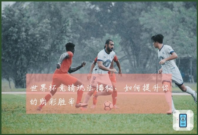世界杯竞猜玩法揭秘，如何提升你的购彩胜率