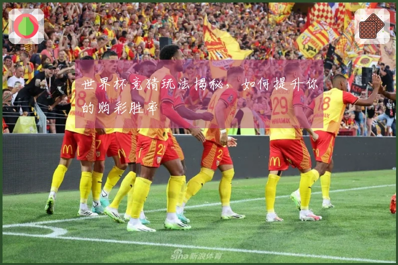 世界杯竞猜玩法揭秘，如何提升你的购彩胜率