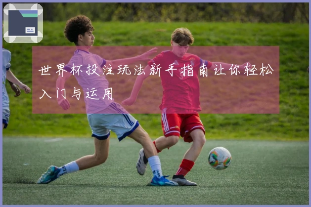 世界杯投注玩法新手指南让你轻松入门与运用