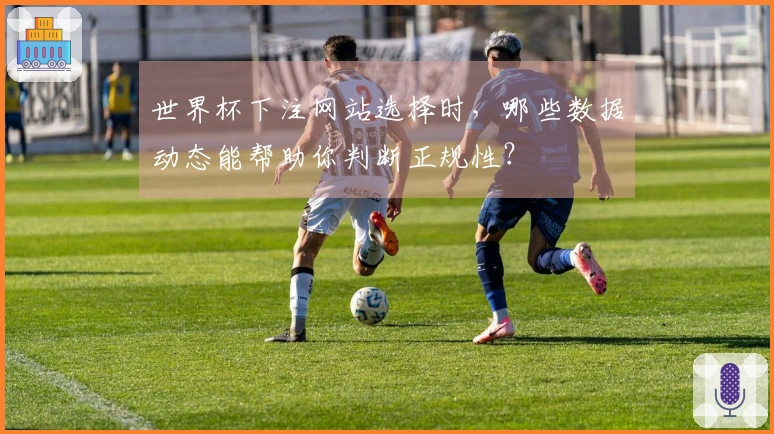 世界杯下注网站选择时，哪些数据动态能帮助你判断正规性？