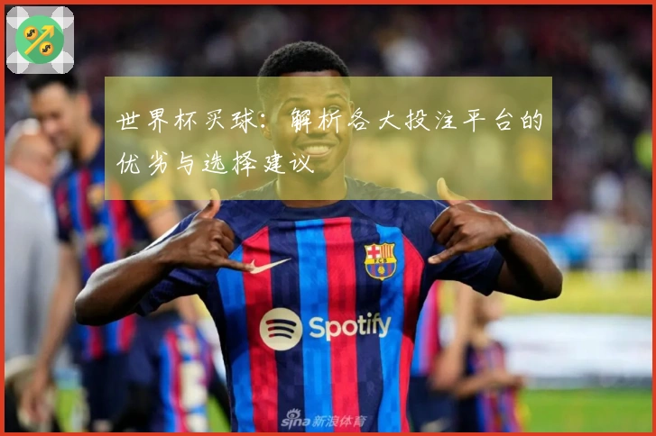 世界杯买球：解析各大投注平台的优劣与选择建议