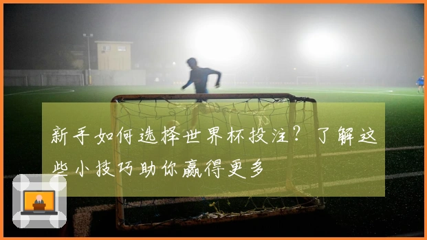 新手如何选择世界杯投注？了解这些小技巧助你赢得更多