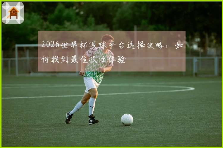 2026世界杯滚球平台选择攻略，如何找到最佳投注体验