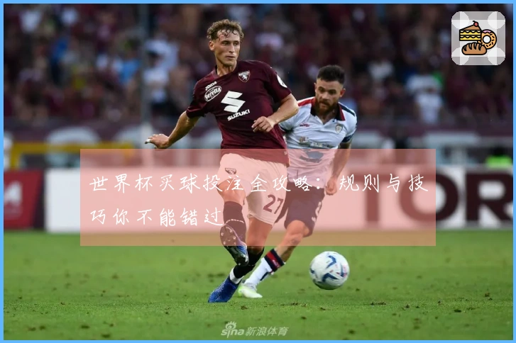 世界杯买球投注全攻略：规则与技巧你不能错过