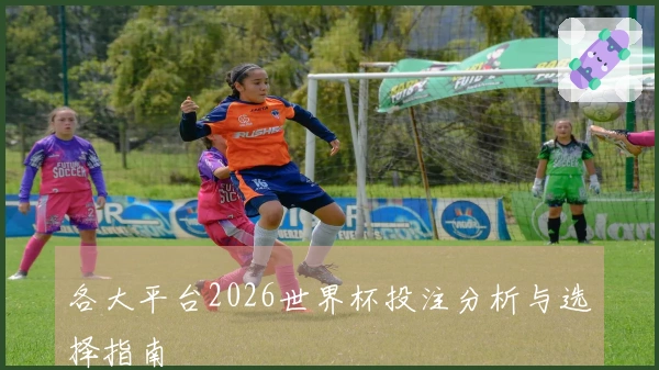 各大平台2026世界杯投注分析与选择指南