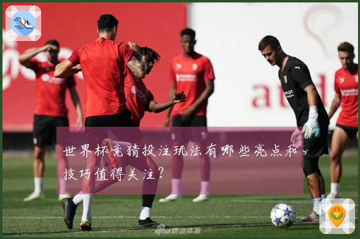 世界杯竞猜投注玩法有哪些亮点和技巧值得关注？