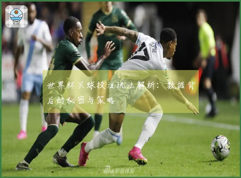 世界杯买球投注玩法解析：数据背后的秘密与策略