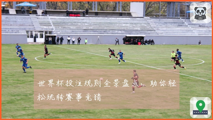 世界杯投注规则全景盘点，助你轻松玩转赛事竞猜
