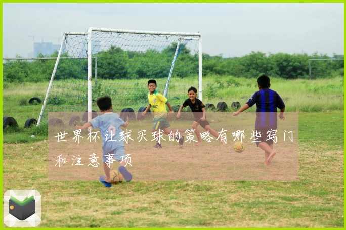世界杯让球买球的策略有哪些窍门和注意事项