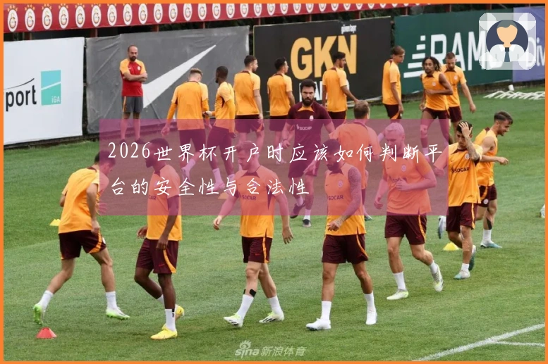 2026世界杯开户时应该如何判断平台的安全性与合法性