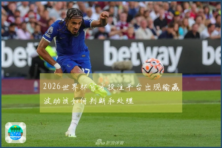 2026世界杯官方投注平台出现输赢波动该如何判断和处理