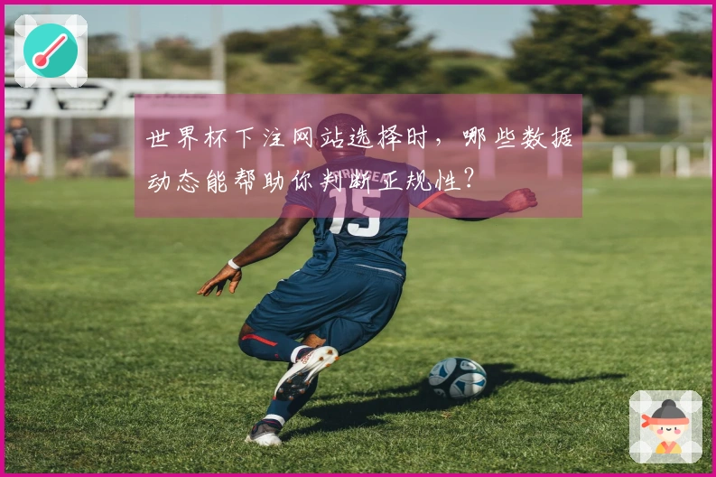 世界杯下注网站选择时，哪些数据动态能帮助你判断正规性？